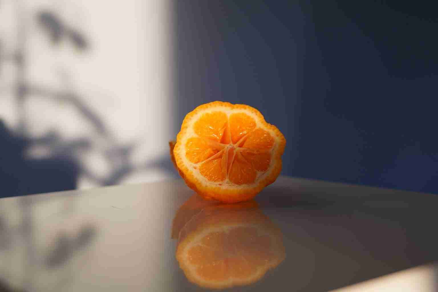 Adventures in Scent: Red lime harvesting: your morning escape - Parterre Fragrances
