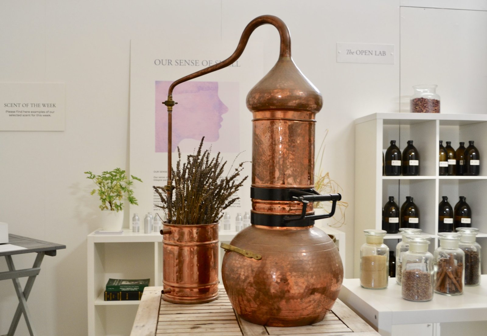 The Art of Perfumery - Image 4