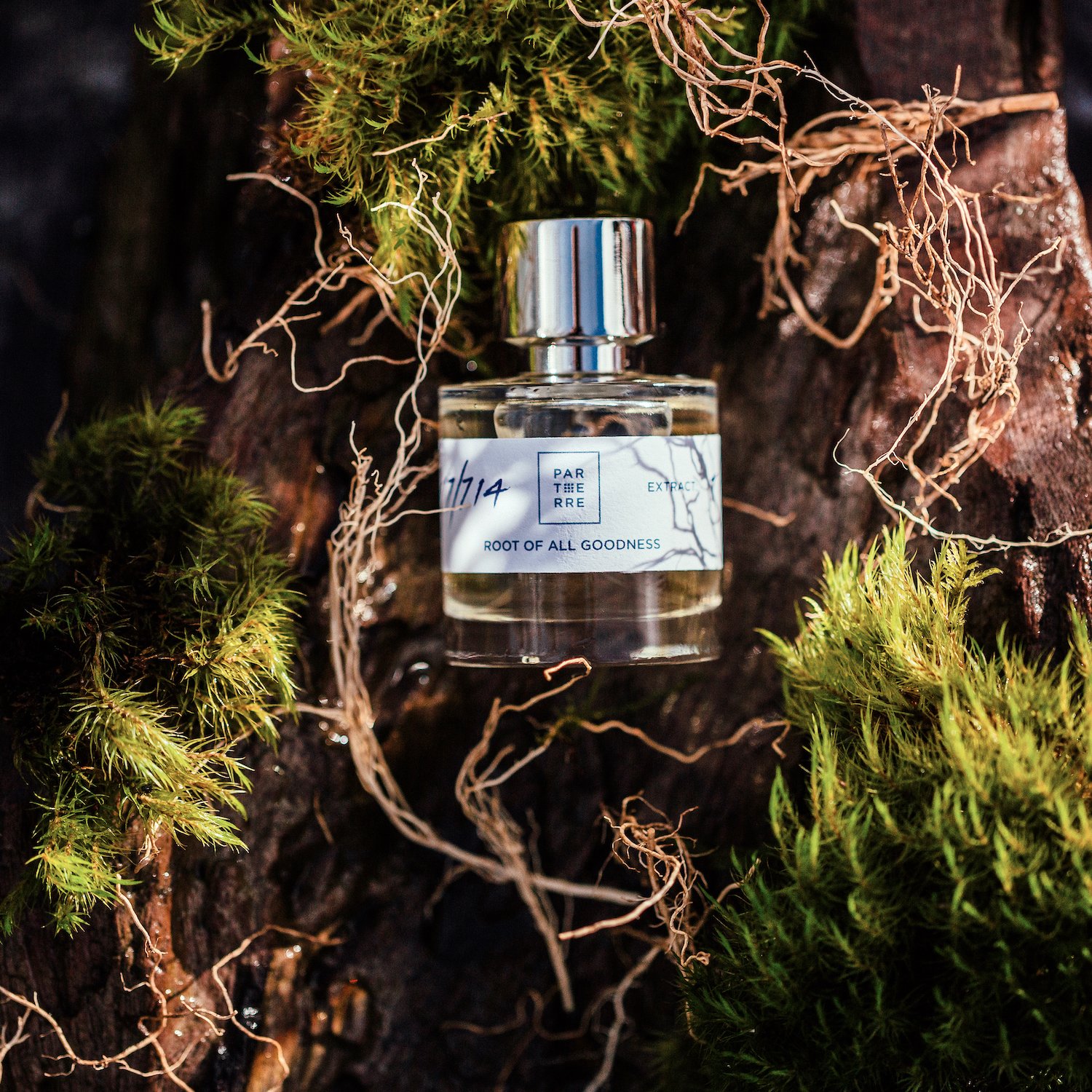 Root Of All Goodness 100ml - Image 4