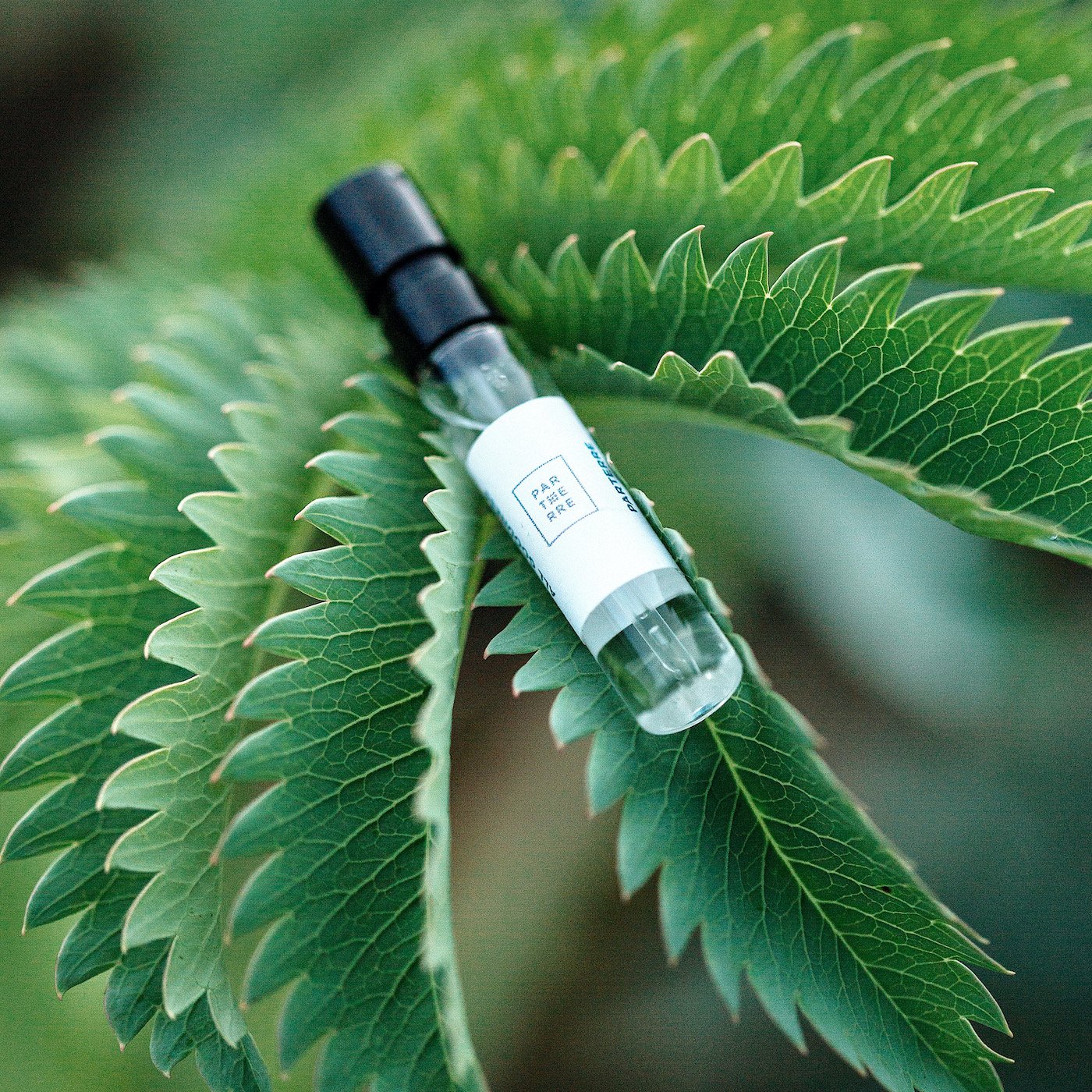 Run of the River 2ml Sample