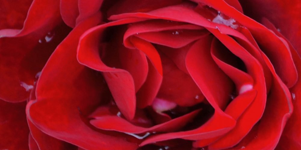 DSC_0120 DSC_0120