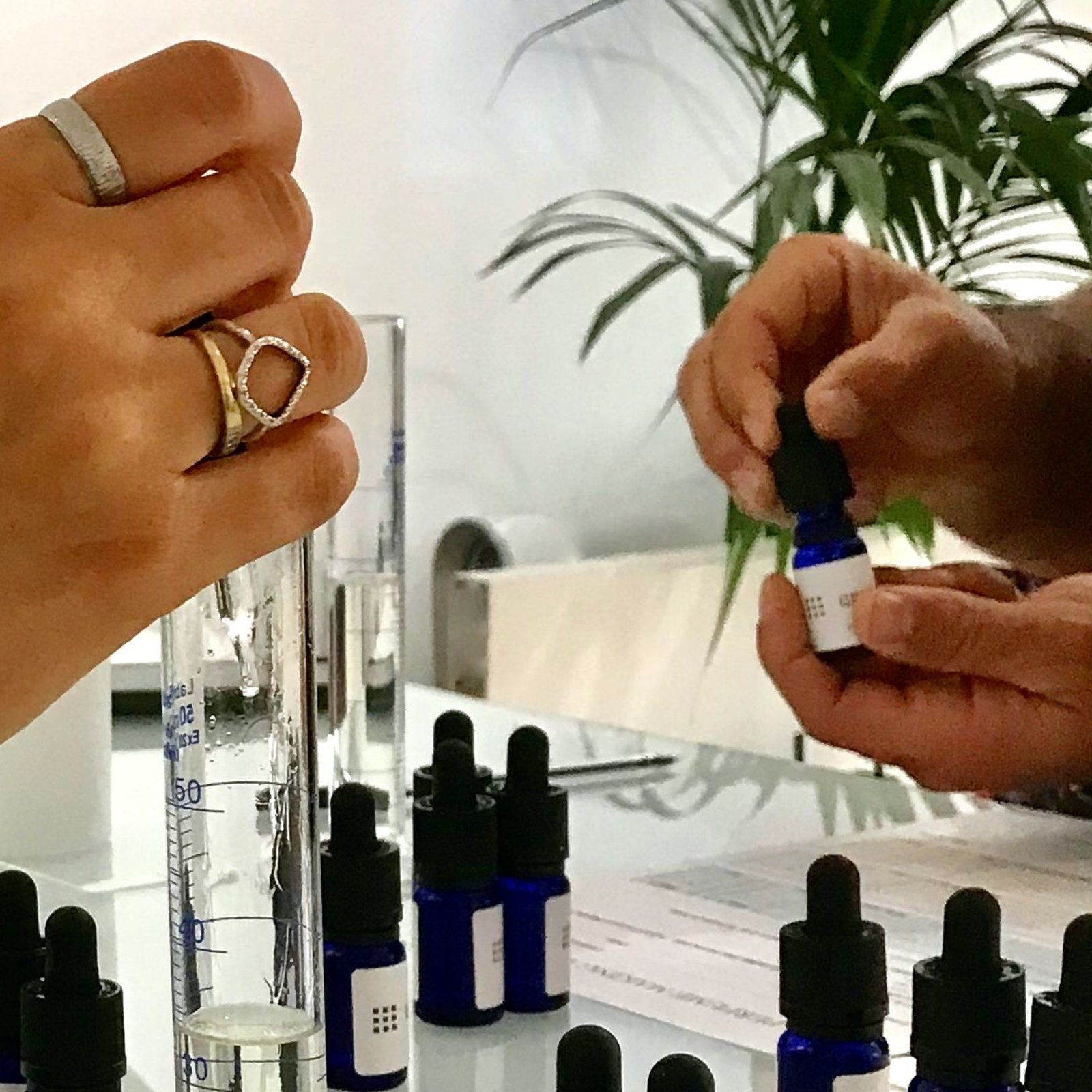 Perfume Private Masterclass In Oxford - Image 3
