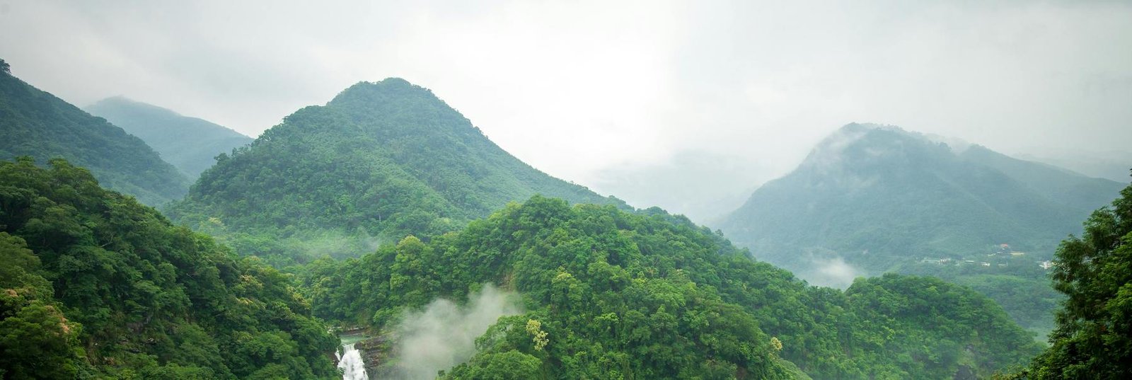 TAMIL NADU
