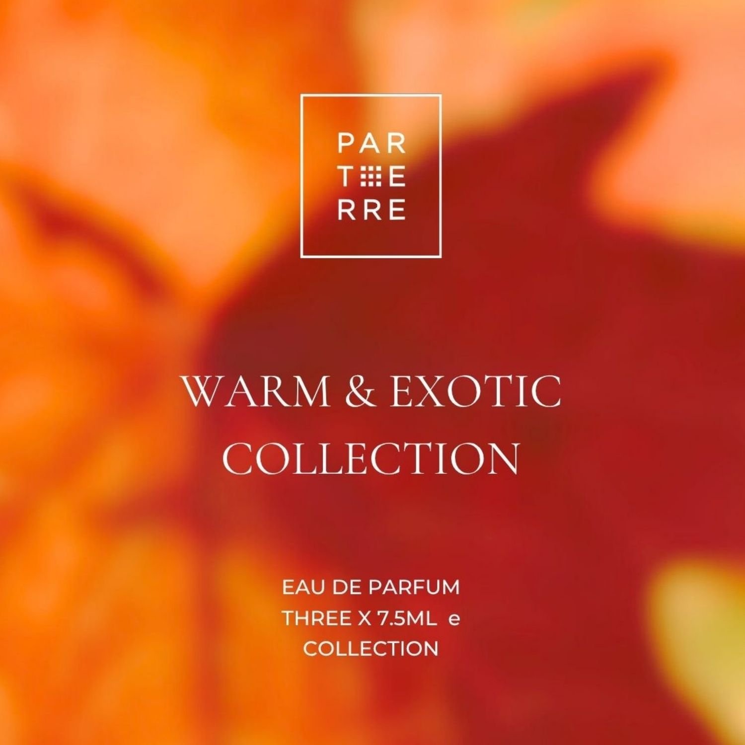 Warm & Exotic Collection