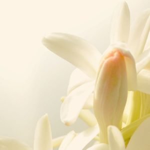1840x800 REVOLTION WEBSITE HEADER IMAGES (12) 1840x800 REVOLTION WEBSITE HEADER IMAGES (12)