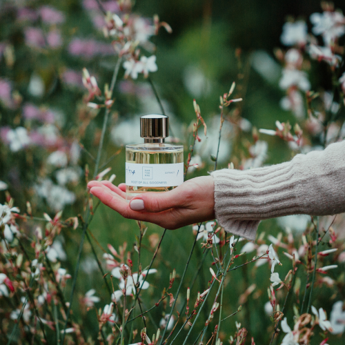 Copy of Parterre Fragrances Root of all Goodness 1 Copy of Parterre Fragrances Root of all Goodness 1